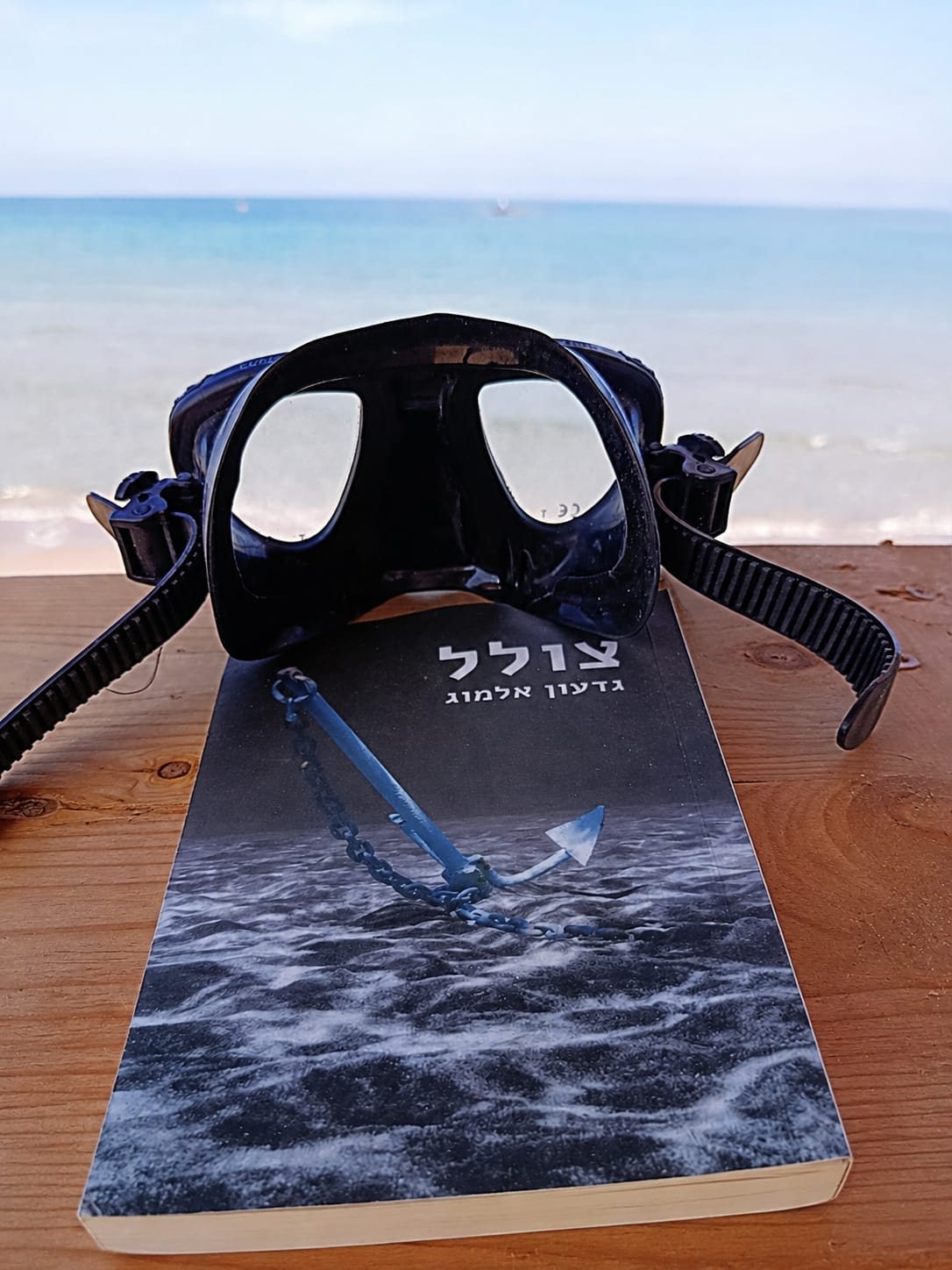 הספר צולל ארוז